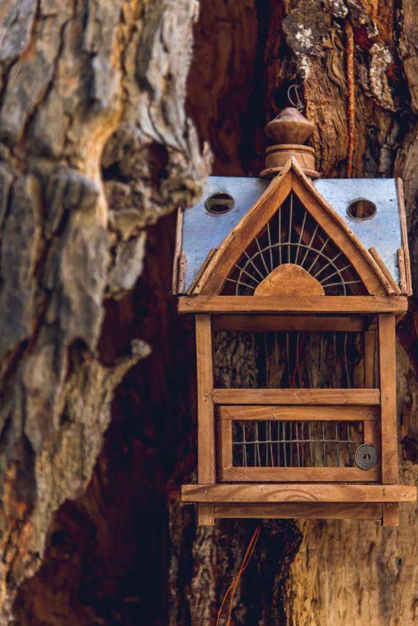 Drymon Traditional Guesthouses Xenofon מראה חיצוני תמונה